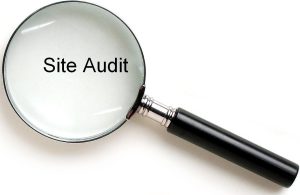 SEO Audit