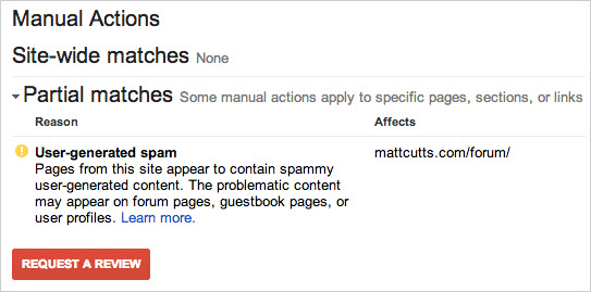 google manual penalty
