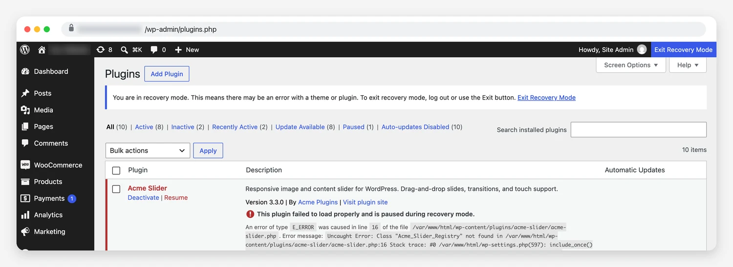 WordPress plugins screen in recovery mode showing a plugin marked as paused with the fatal error that caused it